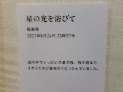 176_0306.JPG