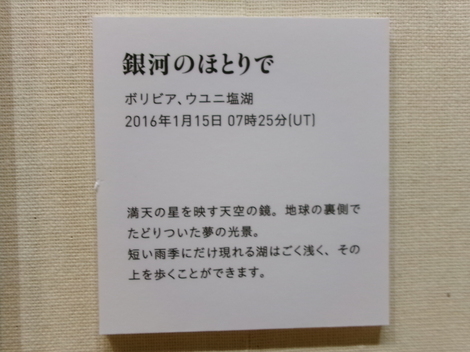 176_0313.JPG