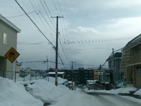 176_2342.JPG