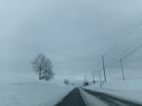 176_2381.JPG