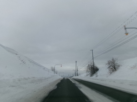 176_2382.JPG