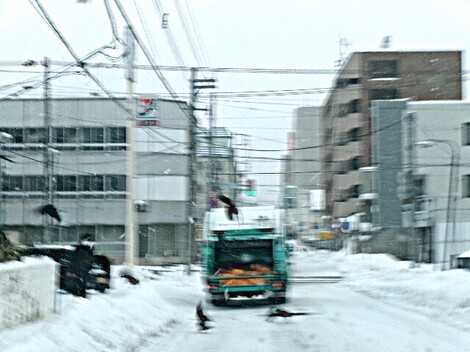 176_2404.JPG