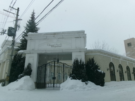 176_2410.JPG