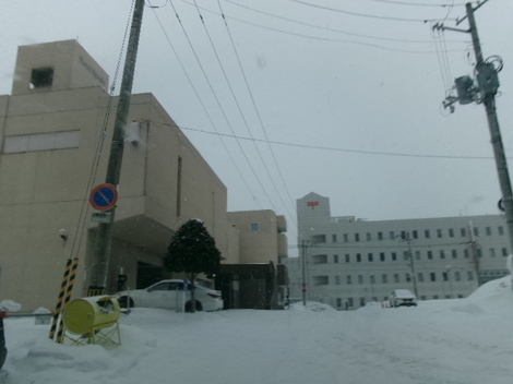 176_2411.JPG