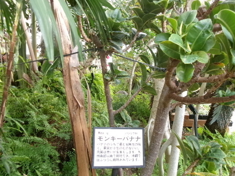176_2431.JPG