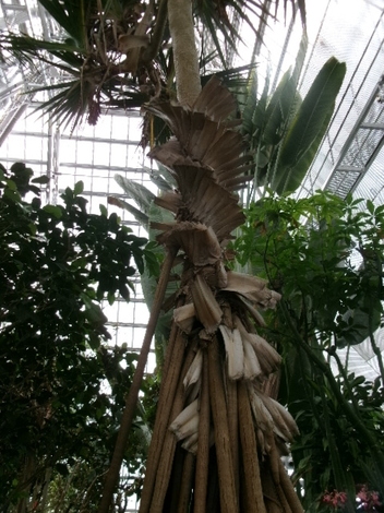 176_2437.JPG