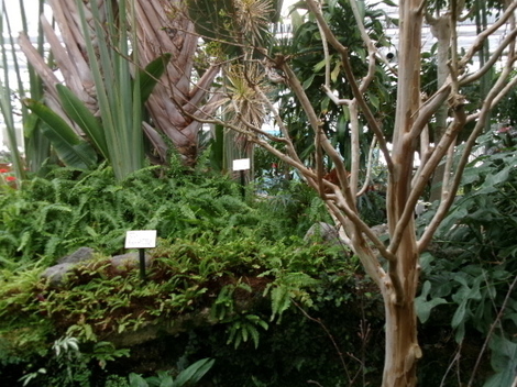 176_2438.JPG