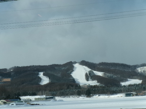 176_2459.JPG
