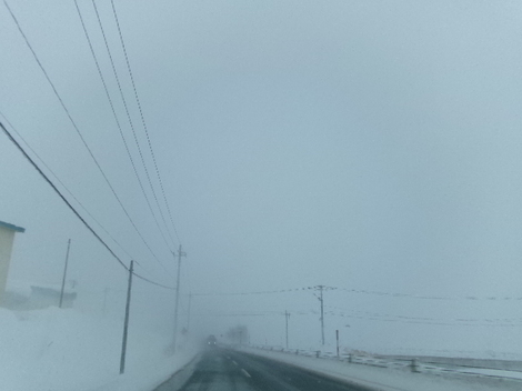 176_2497.JPG