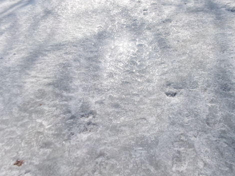 176_2643.JPG
