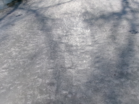 176_2644.JPG