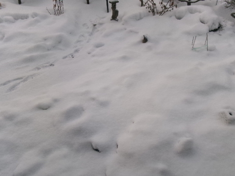 176_2769.JPG