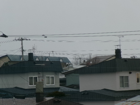 176_2924.JPG
