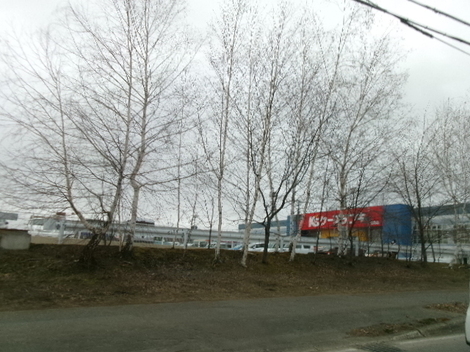 176_3090.JPG