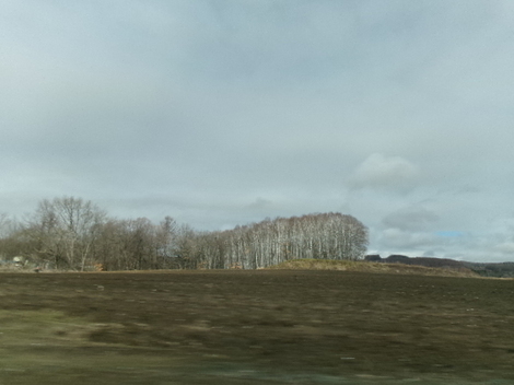 176_3095.JPG