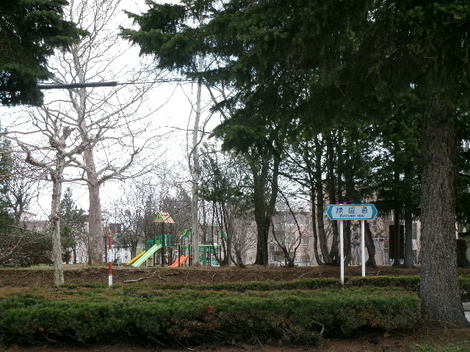 176_3178.JPG