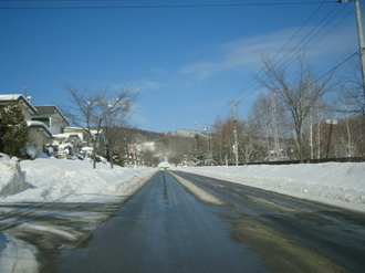 2009-1-13 昭和通 002.jpg