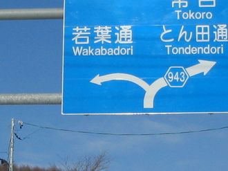 2009-1-13 昭和通 005.jpg