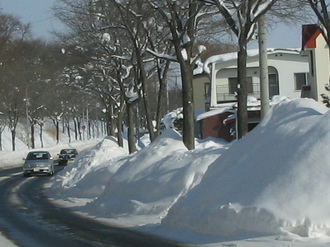 2009-1-13 昭和通 007.jpg