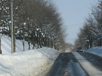 2009-1-13 昭和通 008.jpg