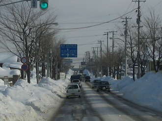 2009-1-13 昭和通 016.jpg