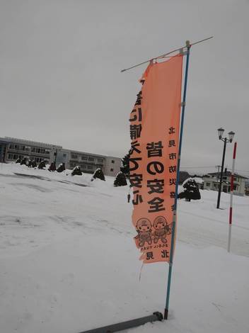 8454.jpg