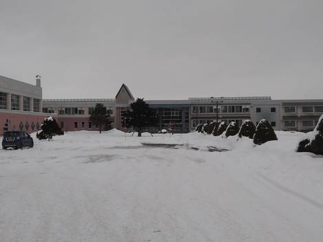 8457.jpg