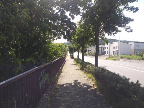 9575.jpg