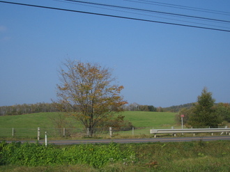 BI04.JPG