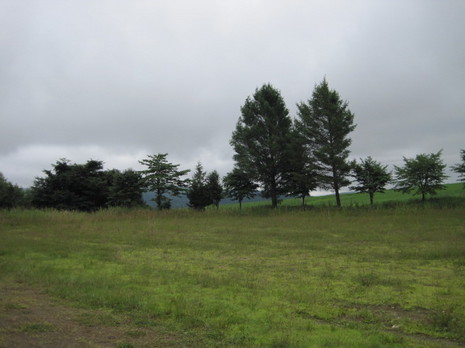 u1 005.jpg