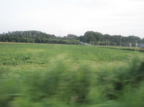 c 007.jpg