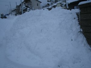 DAIYUKI1.jpg