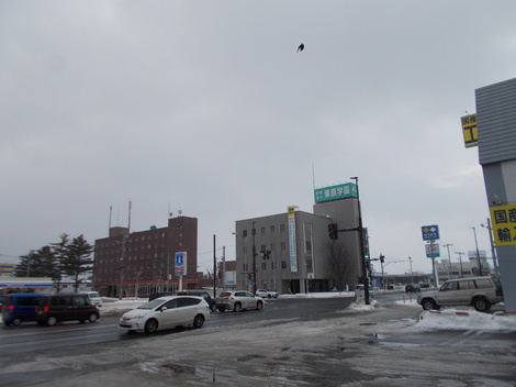 DSCN0006.JPG
