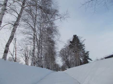 DSCN0011.JPG