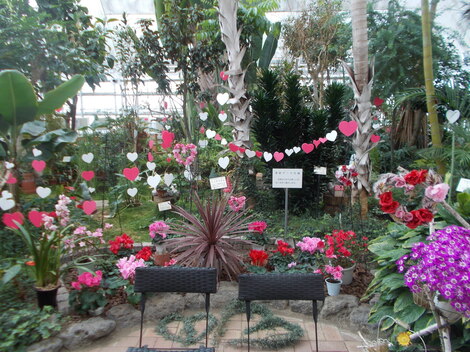 DSCN0028.JPG