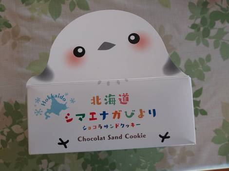 V}GiJ゙P.jpg