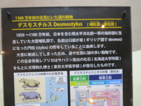 kԌG莆Ej 018.JPG