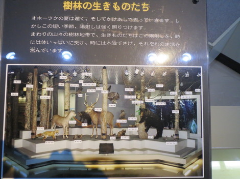 kԌG莆Ej 026.JPG