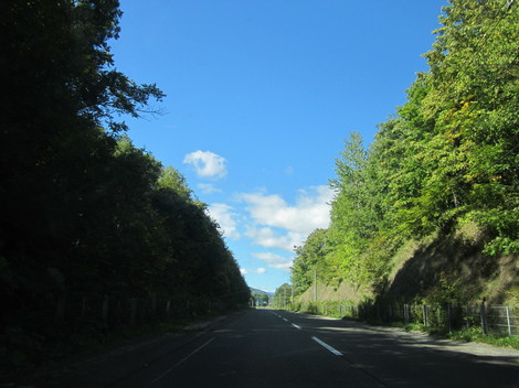 R@x 016.JPG