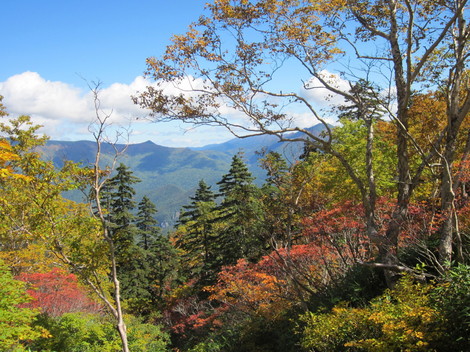 R@x 077.JPG
