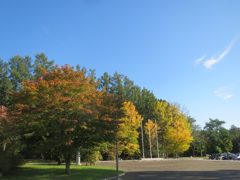 s|p 019.JPG