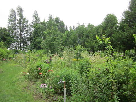 эLE|K[f 043.JPG