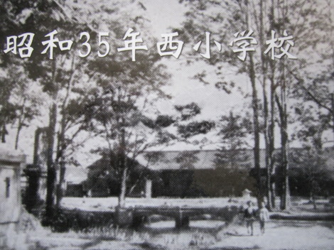 ̊wZ 005.JPG