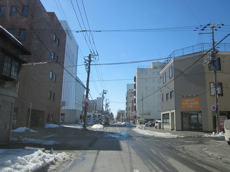 SڂƃA[NX 007.JPG
