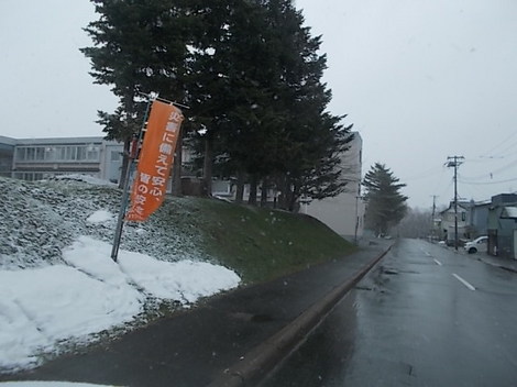 c 002.JPG