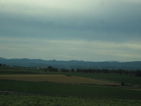 cɓEĎRq 006.JPG