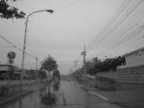 EJ 008.JPG