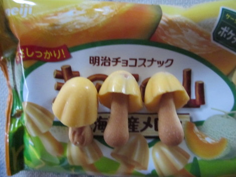 畑・きのこ 006.jpg