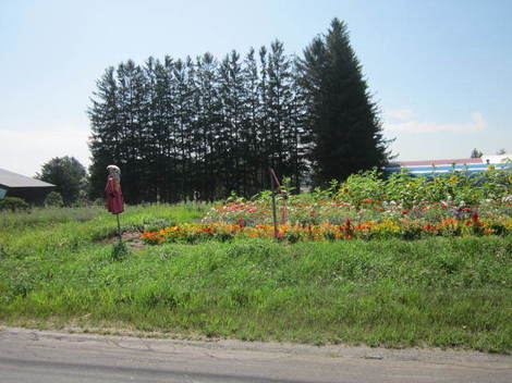 u˕i 014.JPG