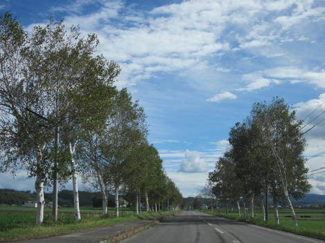 y 004.JPG